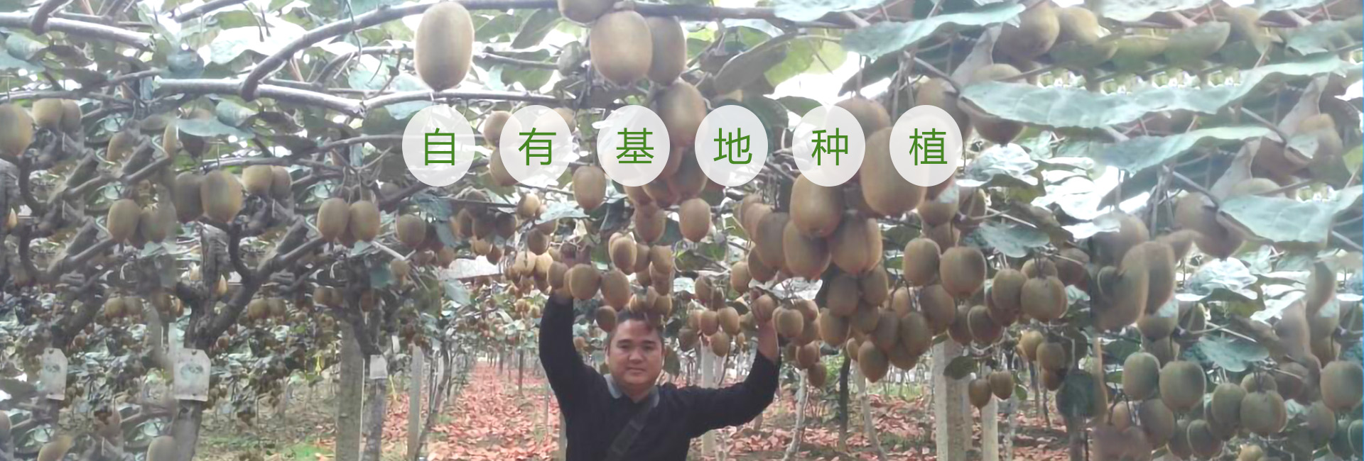 美味佳瑤 美味佳瑤